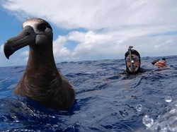 Perenang Ini Menyelam ke Pusaran Sampah Terbesar Sedunia