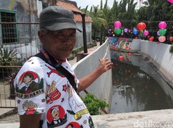 Cerita Warga Lihat Piton 5 Meter di Kali Pepe Dekat Balkot Solo