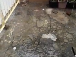 Hujan Disertai Butiran Es Guyur Jember