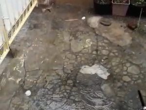 Hujan Disertai Butiran Es Guyur Jember Hujan Disertai Butiran Es Guyur Jember