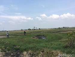 Tanah Bergoyang di Jombang Dulunya Adalah Rawa
