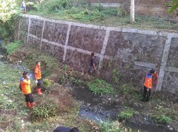 Ini Dia Lokasi yang Harus Diwaspadai Jadi Sarang Ular di Kota Solo