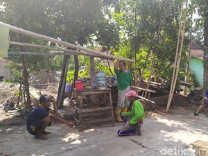 Cerita Kagetnya Warga Klaten Senggol Kobra di Kasur Saat Tidur Siang
