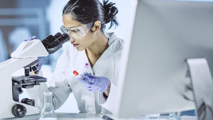 Scientist Working in The Laboratory