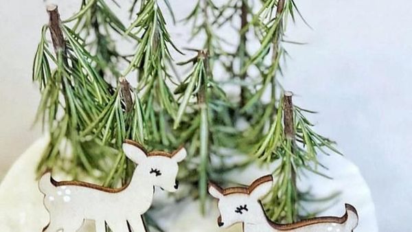 Sederhana Tapi Cantik! Yuk, Intip 10 Kreasi Kue Natal Ini