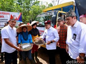 Kopi Robusta Banyuwangi Kembali Diekspor, Kali Ini ke Italia