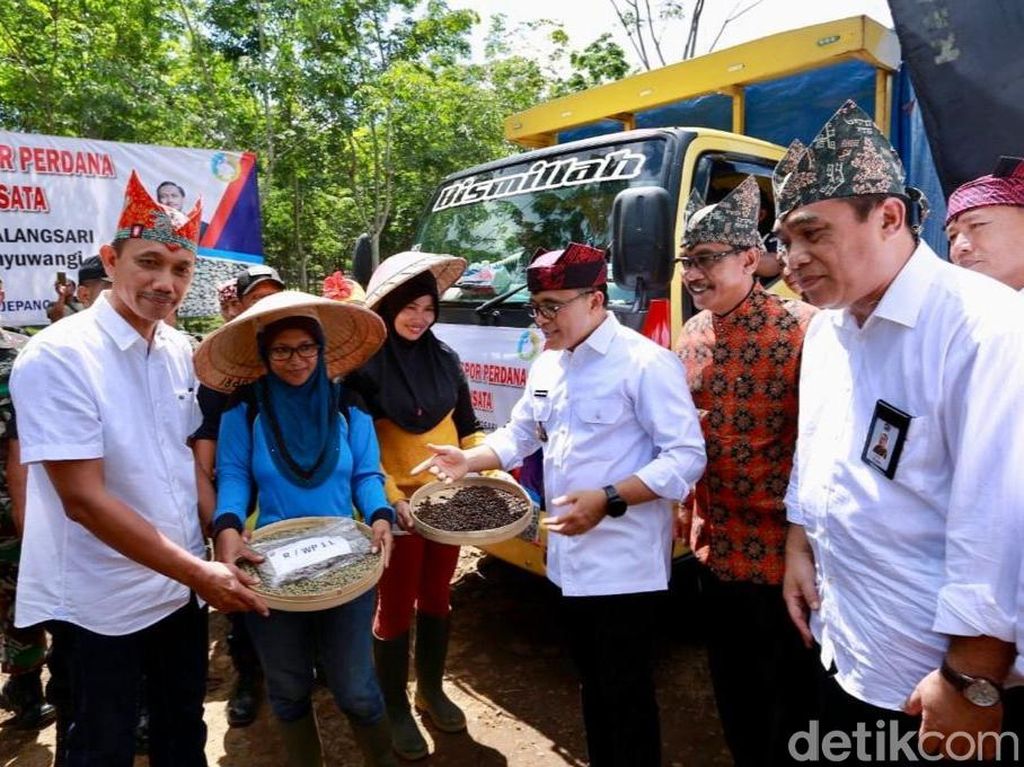 Kopi Robusta Banyuwangi Kembali Diekspor, Kali Ini ke Italia Kopi Robusta Banyuwangi Kembali Diekspor, Kali Ini ke Italia