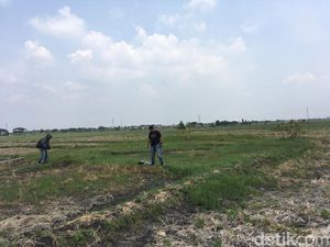 Bagaimana Tanah di Jombang Bisa Bergoyang, Begini Asal Usulnya Bagaimana Tanah di Jombang Bisa Bergoyang, Begini Asal Usulnya
