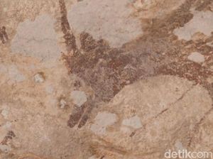 Penjelasan Arkeolog soal Temuan Lukisan Usia 44.000 Tahun di Pangkep Sulsel