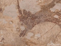 Penjelasan Arkeolog soal Temuan Lukisan Usia 44.000 Tahun di Pangkep Sulsel