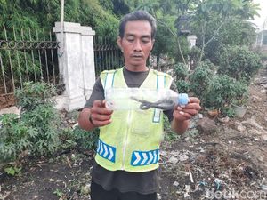 Pedagang Sayur Dipatuk, 4 Anak Kobra Ditangkap di Dekat Pasar Kemiri Depok