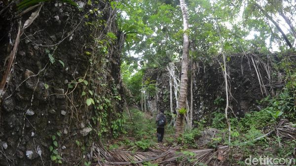Foto: Di Desa Ini Tak Ada Kerbau, Konon Penyebabnya Mistis