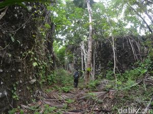 Foto: Di Desa Ini Tak Ada Kerbau, Konon Penyebabnya Mistis