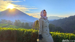 Foto: Kebun Teh Cantik buat Liburan Akhir Tahun di Brebes