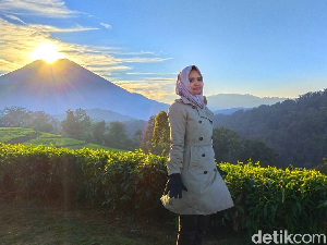 Foto: Kebun Teh Cantik buat Liburan Akhir Tahun di Brebes Foto: Kebun Teh Cantik buat Liburan Akhir Tahun di Brebes