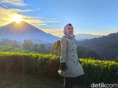 Foto: Kebun Teh Cantik buat Liburan Akhir Tahun di Brebes