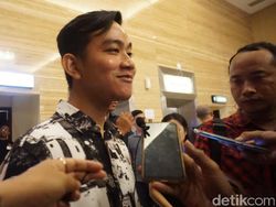 DPP Panggil PDIP Solo Usai Jokowi-FX Rudy Ketemu, Gibran: Kebetulan