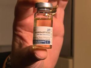 Mengenal Pemakan Bakteri dari Georgia untuk Melawan Resistensi Antibiotik