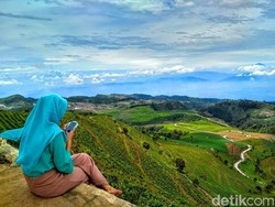 Pesona Liburan Akhir Tahun di Kebun Teh Kaligua Nan Sejuk