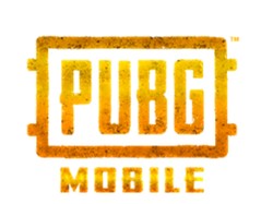 Luxxy BTR Masuk 5 Besar Pemain PUBG Terbaik di Dunia