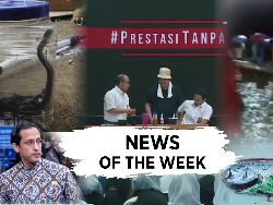 News Of The Week: UN Dihapus, Heboh Teror Ular Kobra