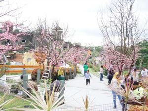 Ada Dunia yang Hilang di Kaki Gunung Merapi