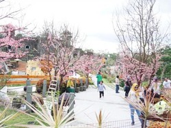 Ada Dunia yang Hilang di Kaki Gunung Merapi