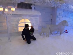 Frozen World, Wahana Musim Dingin dengan Salju Lembut di Malang