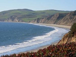 Foto: Pantai yang Viral karena Ikan Penis