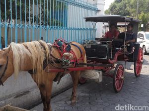 Andong Keraton Solo, Tetap Bertahan Meski Digerus Zaman