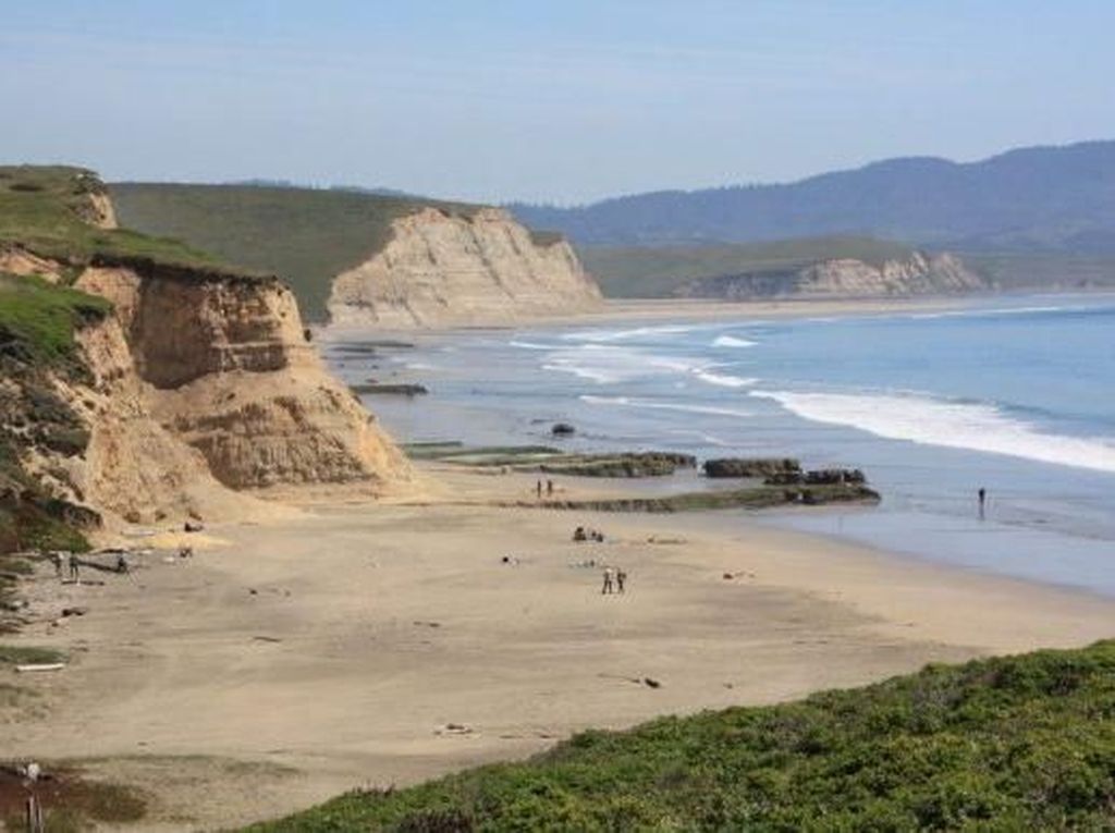 Mengenal Pantai California yang Heboh Ikan Penis
