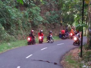 Jangan Panik, Ini Tips Motoran Saat Papasan dengan Ular Kobra