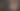 Foto ilustrasi ular: iStock