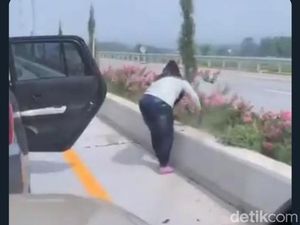 Jasa Marga Tunggu Kata Maaf dari Emak-emak Pencuri Bunga Tengah Jalan