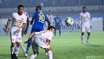 Maung Bandung Terkam Badak Lampung