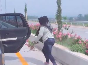 Waduh! Emak-emak Ambil Tanaman di Jalan Tol