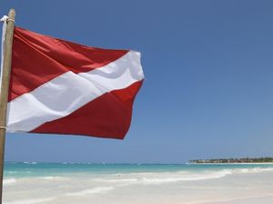 Kamu yang Suka Diving, Tahu Arti Bendera Merah Setrip Putih? Kamu yang Suka Diving, Tahu Arti Bendera Merah Setrip Putih?
