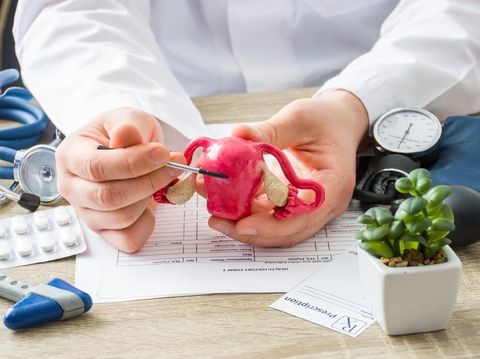 At doctors appointment physician shows to patient shape of uterus with focus on hand with organ. Scene explaining patient causes and localization of diseases of uterus, pregnancy, reproductive system