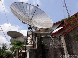Senyum Roy Suryo yang Punya Hutan Parabola Sejak 25 Tahun Lalu