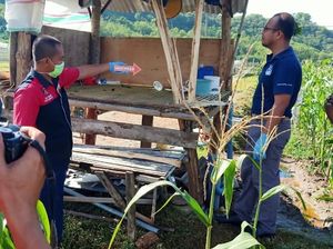 2 Warga Sumbawa Barat Tersambar Petir di Ladang Jagung, 1 Tewas 2 Warga Sumbawa Barat Tersambar Petir di Ladang Jagung, 1 Tewas
