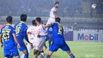 Maung Bandung Terkam Badak Lampung
