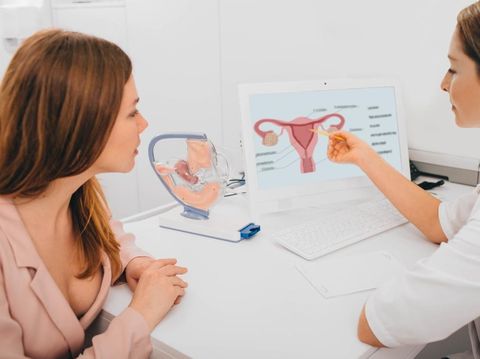 gynecologist communicates with her patient, pointing to the structure of the uterus, on her comput er.