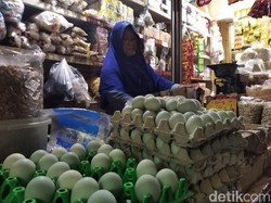 Permintaan Masih Normal, Tapi Harga Telur di Yogya Sudah Melejit