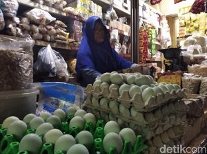 Permintaan Masih Normal, Tapi Harga Telur di Yogya Sudah Melejit Permintaan Masih Normal, Tapi Harga Telur di Yogya Sudah Melejit