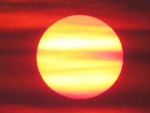 Gelombang Panas Ekstrem Terpa Kanada-AS, Ratusan Orang Tewas