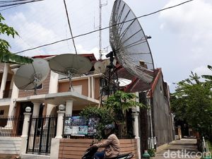 Viral di Medsos, Begini Penampakan Hutan Parabola Milik Roy Suryo