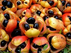 5 Fakta Buah Paling Berbahaya yang Dilarang di Amerika