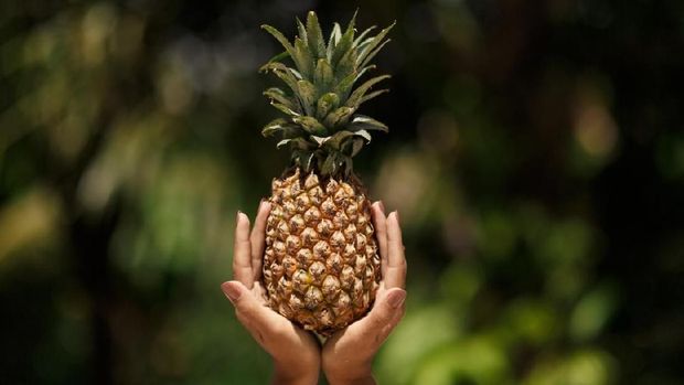 female hands holds pineapple on green tropical jungle background.