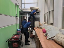 BKSDA DKI Evakuasi 29 Anak Ular Kobra, Akan Dilepasliarkan di Gunung Salak