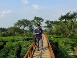 Pemandangan Luas nan Sejuk Ini Tak Jauh dari Surabaya
